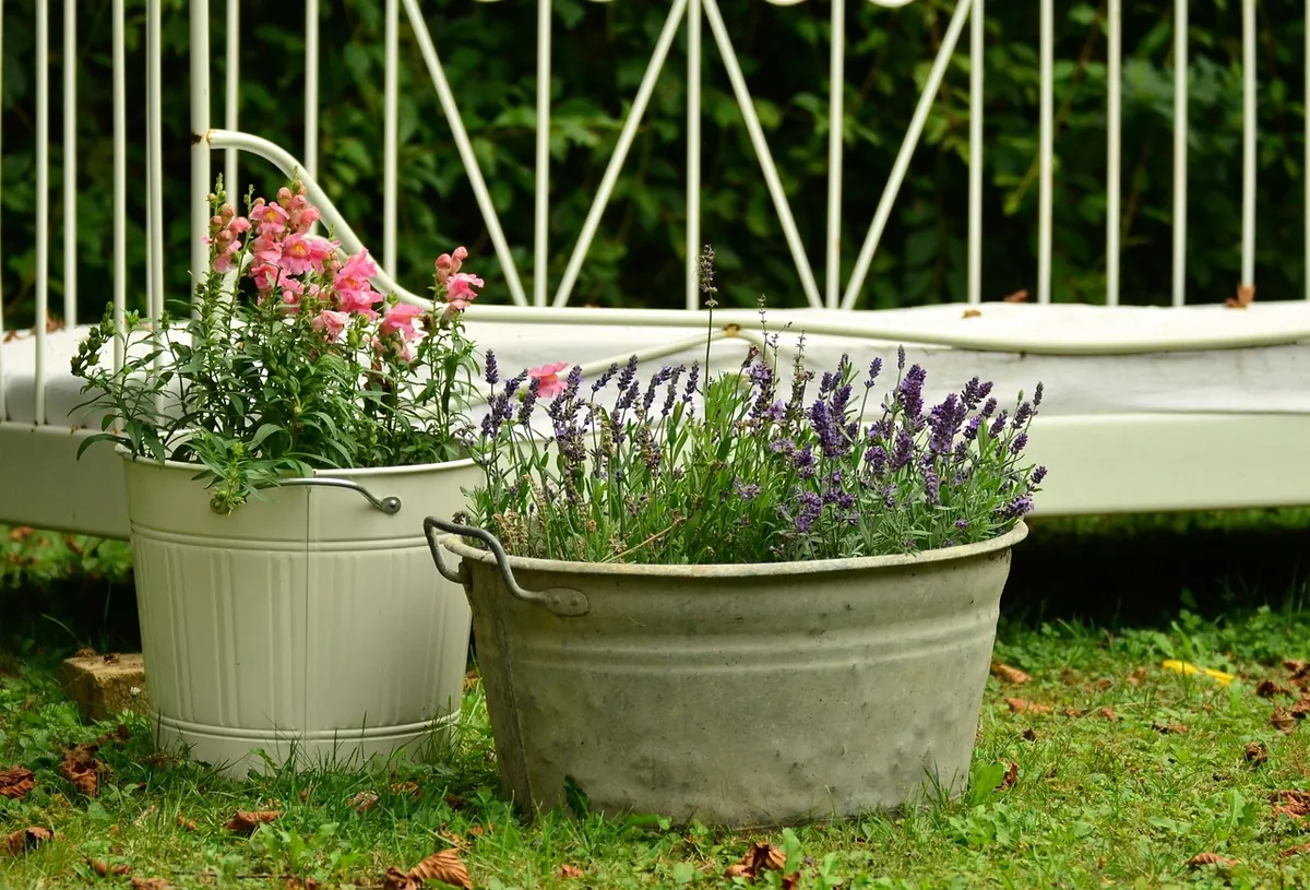 Beginner's Guide to Starting a Container Garden on a Cumbrian Patio